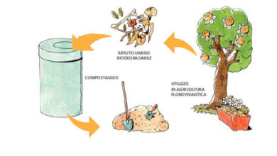 Photo of Regole di base per il giardinaggio domestico