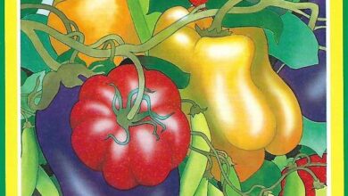 Photo of Rotazione delle colture: come mantenere il vostro giardino sano ed equilibrato