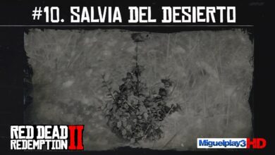 Photo of Salvia del deserto