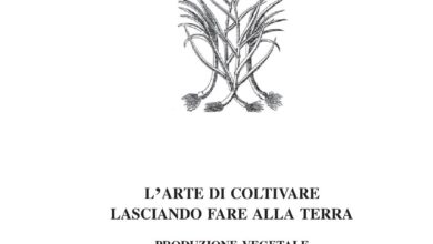 Photo of Scopri la cura di Tetragonia tetragonoide