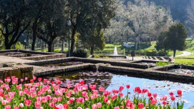 Photo of sculture da giardino: aggiungere arte alla natura