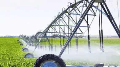 Photo of Sistema di irrigazione a pioggia: funzionamento, tipi di irrigatori, vantaggi e svantaggi