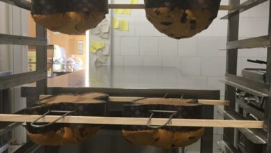 Photo of Sperone di legno dolce, Sperone di legno dolce