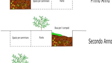Photo of Tipi di compost