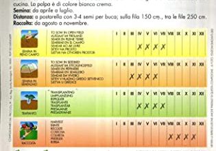 Photo of Top 10 Aziende di sementi Relic per il giardinaggio domestico intelligente