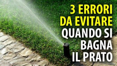 Photo of Top 8 Irrigatori da prato e giardino – Guida alla valutazione e all’acquisto