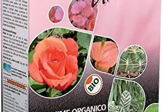 Photo of Tutti i tipi di fertilizzanti per il vostro giardino organico
