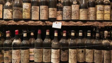 Photo of Tutto quello che c’è da sapere per costruire una moderna cantina per le radici