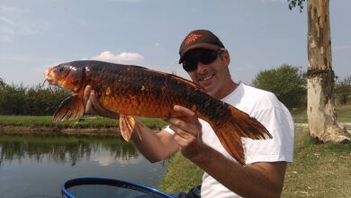 Photo of Tutto quello che c’è da sapere sulla pesca