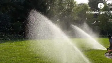 Photo of Tutto quello che hai sempre voluto sapere sull’irrigazione a goccia…