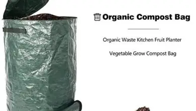 Photo of Una guida completa per scegliere il giusto compost