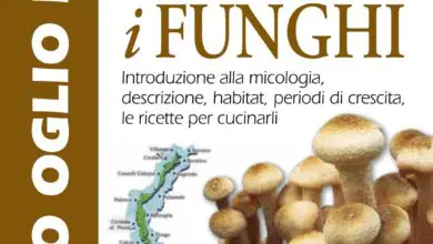 Photo of Una guida introduttiva alla coltivazione dei funghi per i principianti