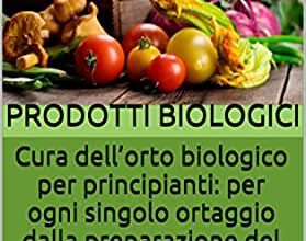 Photo of Una guida introduttiva all’uso del fungicida nell’orto biologico