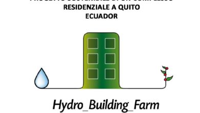 Photo of Vermiculite contro perlite: somiglianze, differenze e cosa c’è di meglio