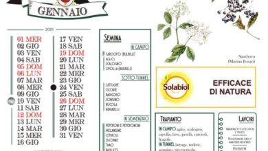 Photo of Calendario agricolo a gennaio