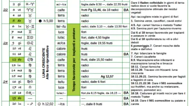 Photo of Calendario agricolo a giugno