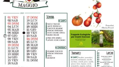 Photo of Calendario agricolo a maggio
