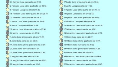 Photo of Calendario agricolo a novembre