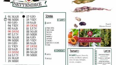 Photo of Calendario agricolo a settembre