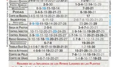 Photo of Calendario agricolo in agosto
