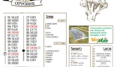 Photo of Calendario agricolo in ottobre