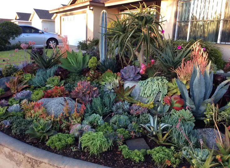 GIARDINI CON SUCCULENTI E CACTUS