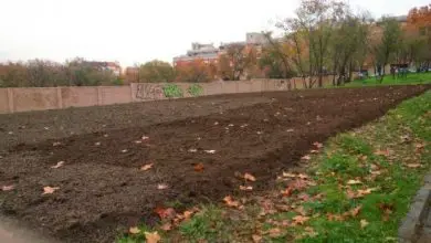 Photo of Il giardino urbano di Lucero