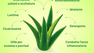 Photo of 10 motivi per bere aloe vera o succo di aloe vera e come prepararlo in casa
