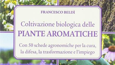 Photo of 10 piante aromatiche per controllare i parassiti dell’orto biologico