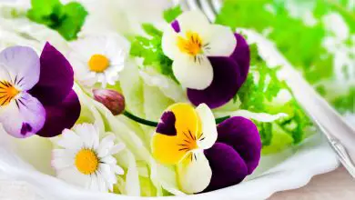 Photo of 12 fiori eduli da aggiungere ai tuoi piatti dolci e salati