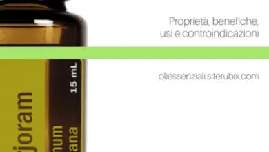 Photo of 25 usi dell’olio essenziale che dovresti sapere