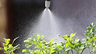 Photo of Irrigazione a pioggia: [Vantaggi, svantaggi, forme e funzionamento]