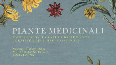 Photo of 6 rimedi casalinghi con piante medicinali