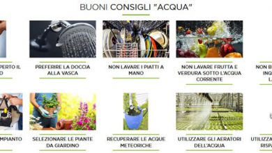 Photo of 8 consigli per un uso sostenibile dell’acqua in giardino e giardino
