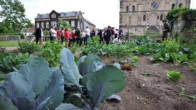 Photo of Agricoltura urbana in Germania. Giardini urbani ad Andernach e Berlino