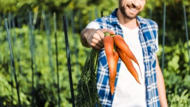 Photo of Cos’è l’agricoltura biodinamica?