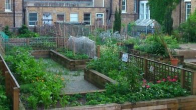 Photo of 5 motivi per avere giardini negli ospedali. St. Charles Hospital Garden (Londra)
