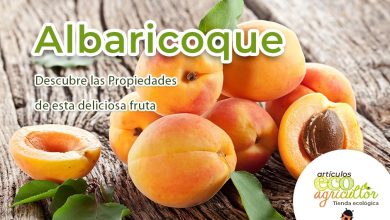 Photo of Albicocche: le proprietà nutritive di questo frutto primaverile ed estivo