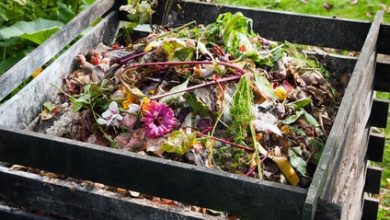 Photo of Come fare il compost passo dopo passo. Tipi di compost fatto in casa