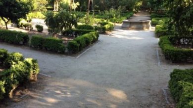 Photo of Orto dell’Orto Botanico di Madrid