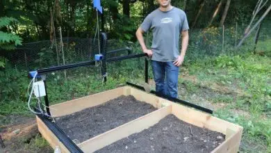Photo of Come avere il tuo giardino robotizzato: un giardino che cresce da solo