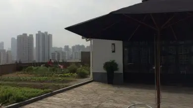 Photo of Anken Rooftop Farm: agricoltura urbana a Shanghai