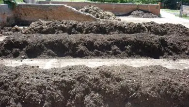 Photo of Compost Bocashi per fertilizzare il tuo giardino: guida completa