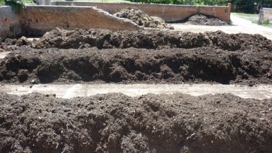 Photo of Compost Bocashi per fertilizzare il tuo giardino: guida completa