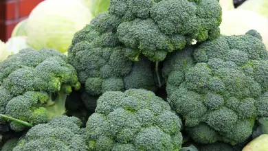 Photo of Broccoli: antiossidante, purificante, saziante e fortificante delle difese