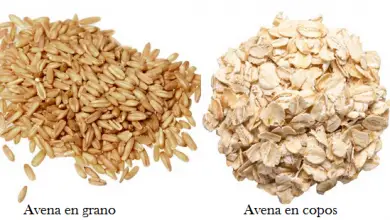 Photo of A cosa serve la farina d’avena? Scopri le caratteristiche più importanti di questo cereale