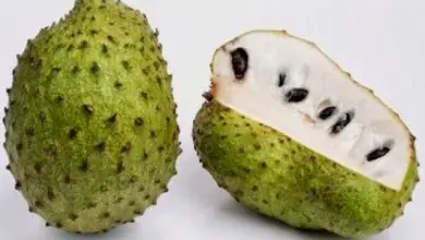 Photo of Graviola o soursop per il sistema immunitario, prendersi cura del fegato e delle ossa
