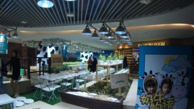 Photo of K11 agricoltura urbana. Frutteti nei centri commerciali