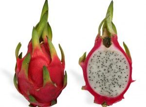 Photo of Pianta una Pitahaya: [raccolto, cura, parassiti e malattie]