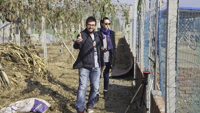 Photo of Tianze farm: Pick up farm en Taian (China)